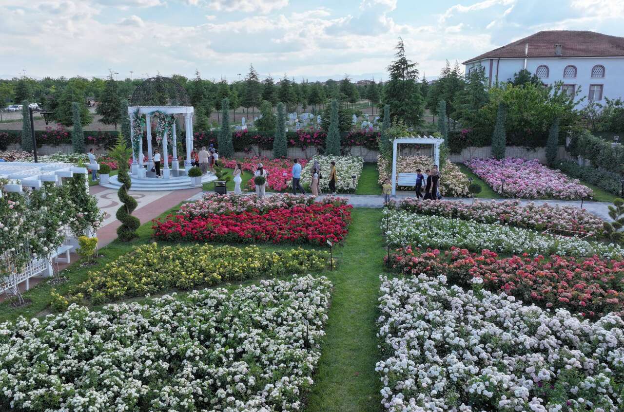 190 çeşit, 50 bin gül! Açıldığını duyan Konya’daki bu parka akın ediyor 3